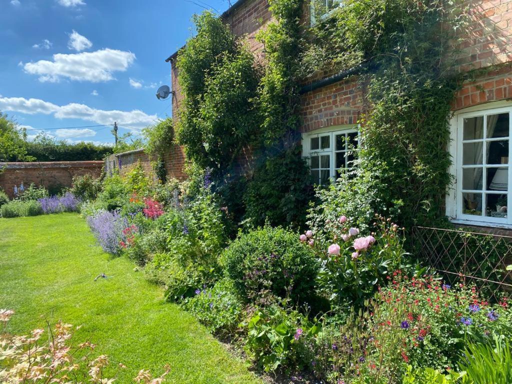 Garden Cottage B&B Penton Mewsey Exteriér fotografie